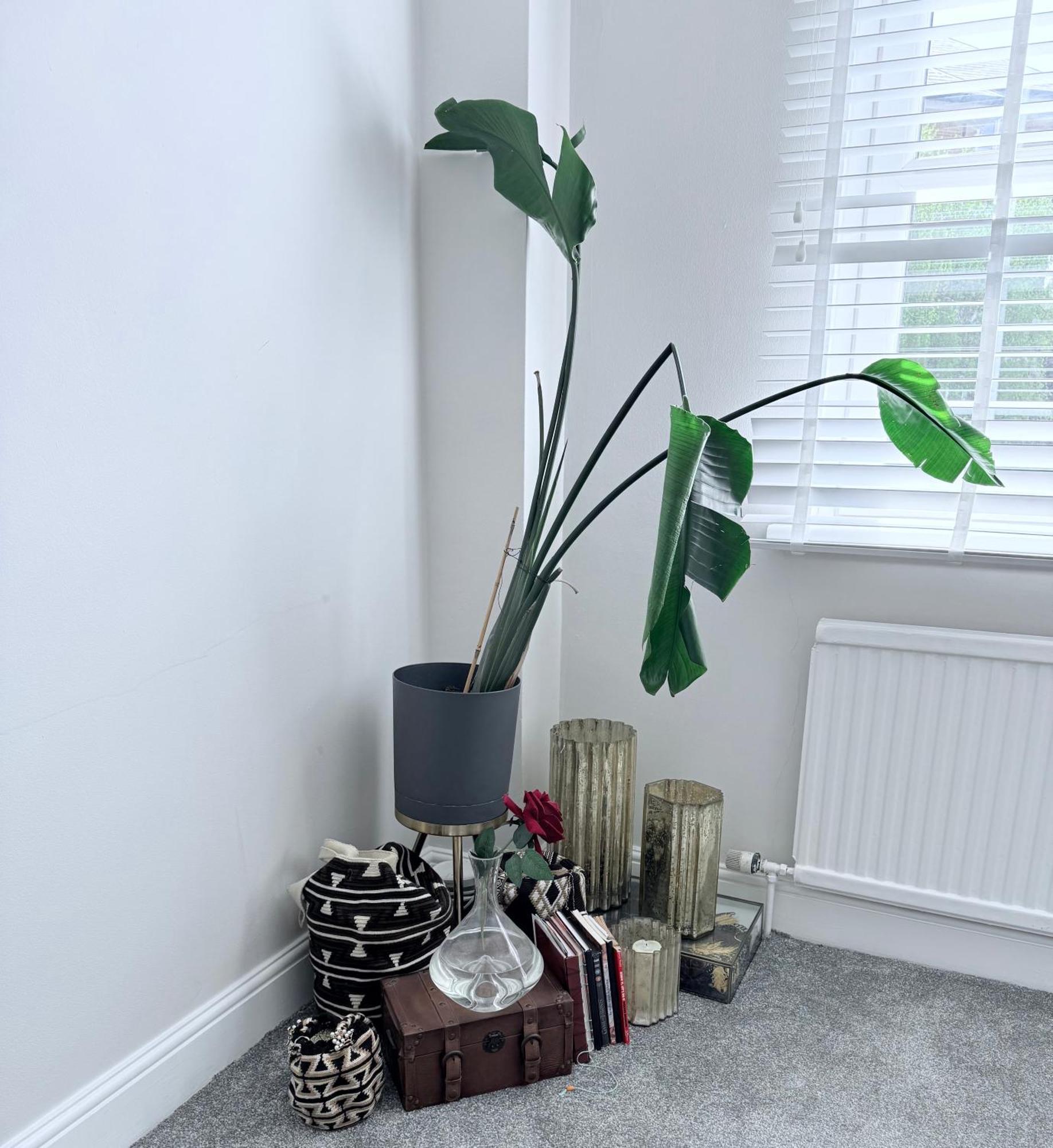Bright And Modern Flat Near Portobello Road And The Canal London Eksteriør billede